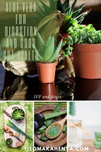 Here are ways Aloe Vera plant can help with your digestion and ultimately help improve your gut health. For more healthier you