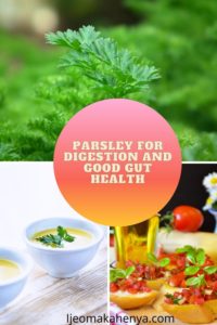Here are ways that parsley is beneficial for the gut wall and leads to good gut health and good digestion
