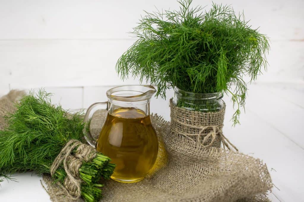 Dill Good for Digestion and Gut Health