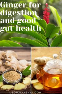 
Here are ways Ginger is good for digestion and good gut health. Ginger’s main action is to help soothe the gut wall. Ginger also has other health benefits. 
