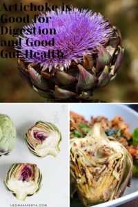 Here are ways Artichoke can help with digestion and lead to good gut health and other health benefits it provides