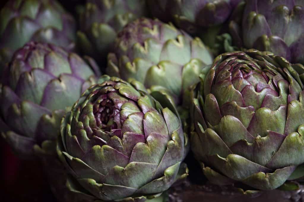 Artichoke is Good for Digestion and Good Gut Health